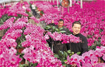 ���괺����