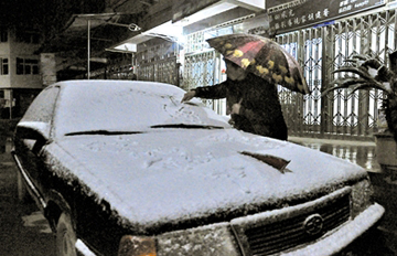 �������ݵ�һ��ѩ