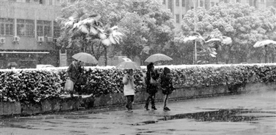 温州全市昨日普降大雪 这场“贼雪”如何袭来？