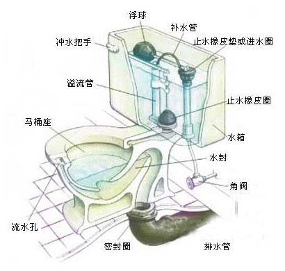 [转载]马桶堵了怎么办 马桶结构分析马桶堵塞原因