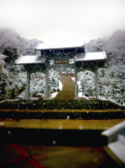 瑞安情牵万松山