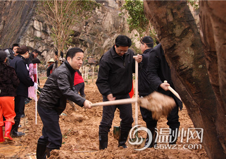 温州市民收到“绿色年礼” 牛山公园今早开工