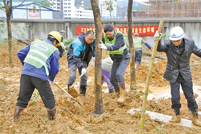 春天从绿化家园开始 温州多地昨植树造绿