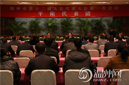 陈德荣与代表热议政府报告 改善环境成关键词