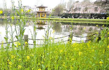 �Ͳ˻�����