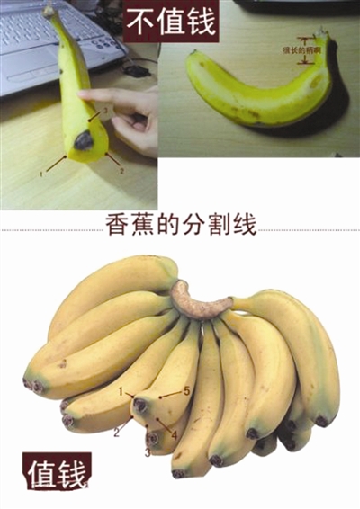 近日,香蕉和芭蕉两兄弟着实在微博上火了一把,照片被圈圈点点上下对比