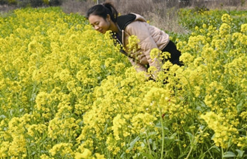 �����Ͳ˻���