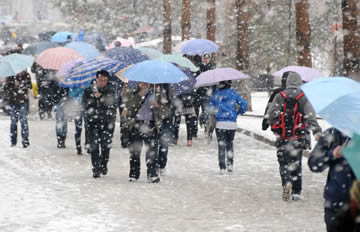 黑龙江多地突降暴雪