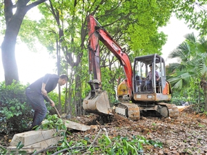 塘河还绿：本月底前必须退出占用沿河公共绿地