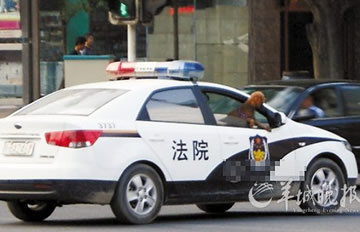 ���������ﹷ����