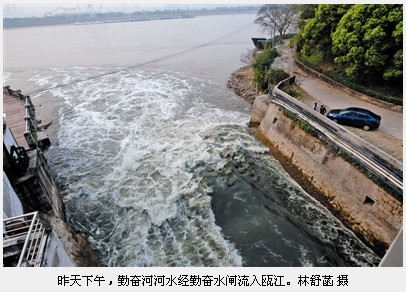 温州勤奋闸每周开放排污水 市民：瓯江受不了