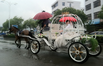 他们结婚驾的是马车