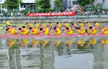 温州龙舟赛预热