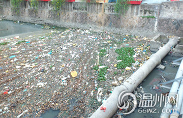 网友揭露温州最脏河 垃圾遍地