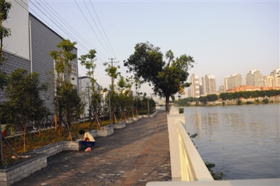 去冬今春绿化成效：不少“污点”已成城市亮点
