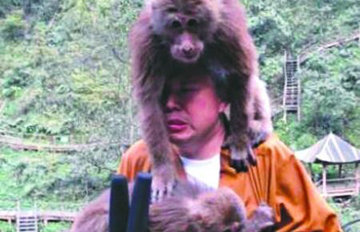 法师遭猴骚扰