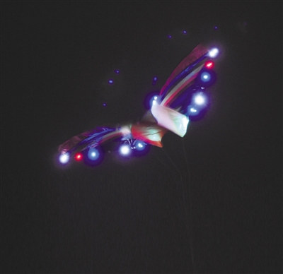 温州夜间上空惊现UFO？ 不，那是LED风筝