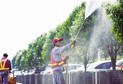 六城联创全城行动：美丽城市 你我共建