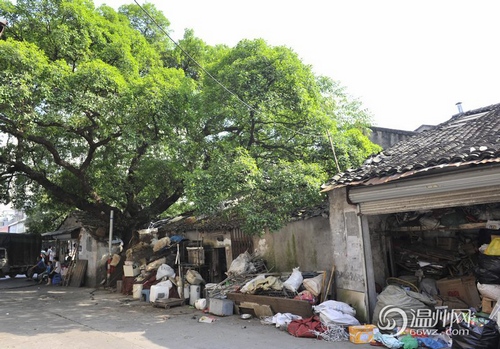 温州有个被遗忘的角落 废品市场扰民谁来管