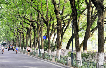 ������ɽ�����