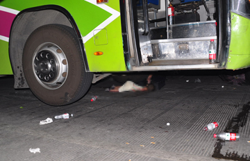 �к�ɥ��������