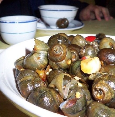 怎么选大田螺 1573083_918610.jpg
