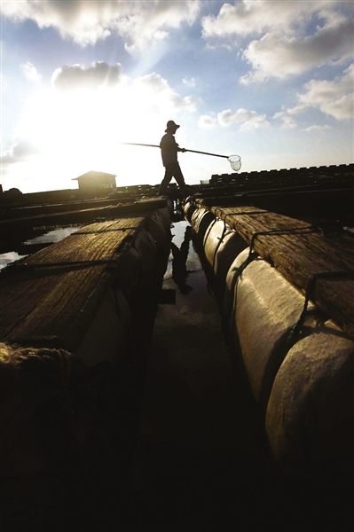 人文温州：半个世纪的渔事悠悠