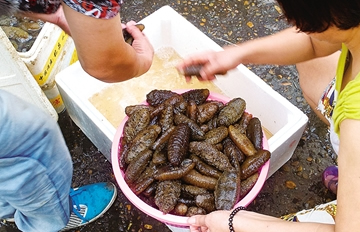 �����񶾺���