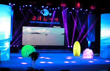 ������¾���