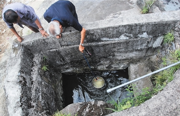 ����ž���ɫ