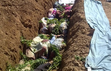 ���׶��ִ���ʬ��