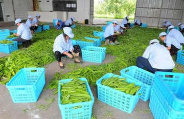 С���� ���г�