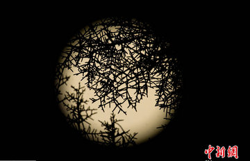 ���͡���������