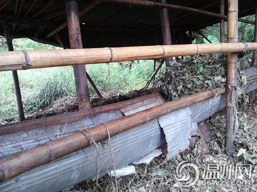 一夜间11只骡子“消失” 90后农二代网络寻骡