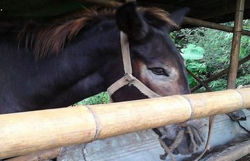 90������Ѱ��