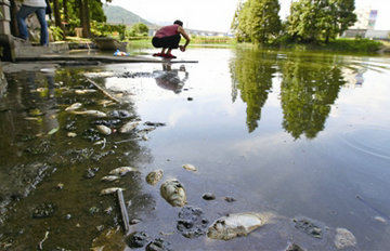 �ӵ�Ư����������