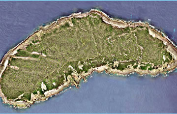 ���㵺��������