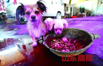 ��ׯһҹ���