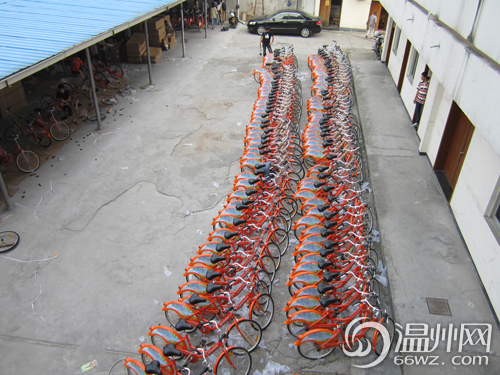 鹿城公共自行车将亮相 如何使用请看记者体验