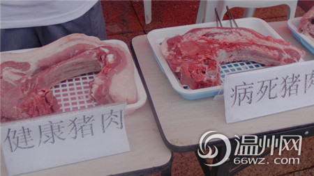温州全国皮皮日关注食品安全与科普a全国公众鲁鸡爪图片