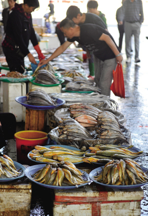 今天上午,锦绣农贸市场批发摊位上海鱼的供应很丰盛.