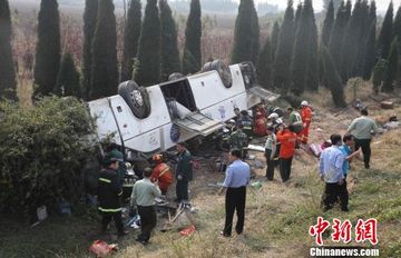 ��ͷ���14������