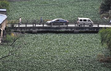 �����ˮ��«�賤