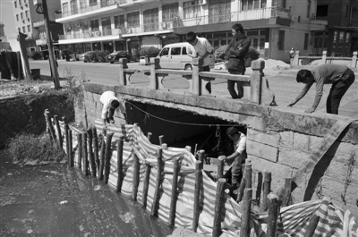 龙湾八甲村惊现“黄河” 陈德荣批示要求彻查严办