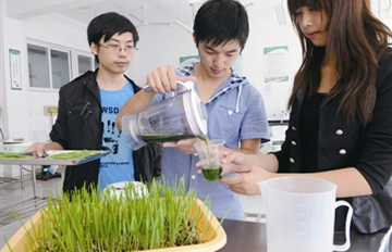 С���ե֭��