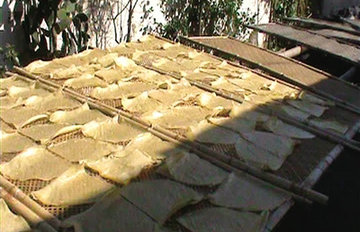 ����Ƥ�ж���