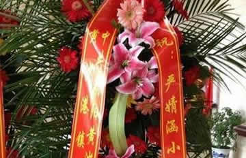 ������ţС����