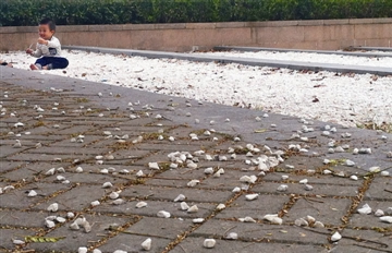 ���۴���ɰ�����