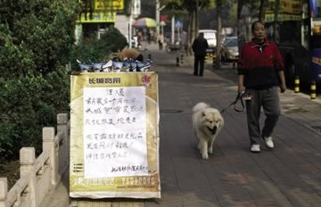 ������С���ý�Ǯ