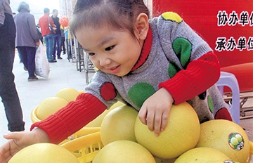 �����ļ��ֿ�ժ